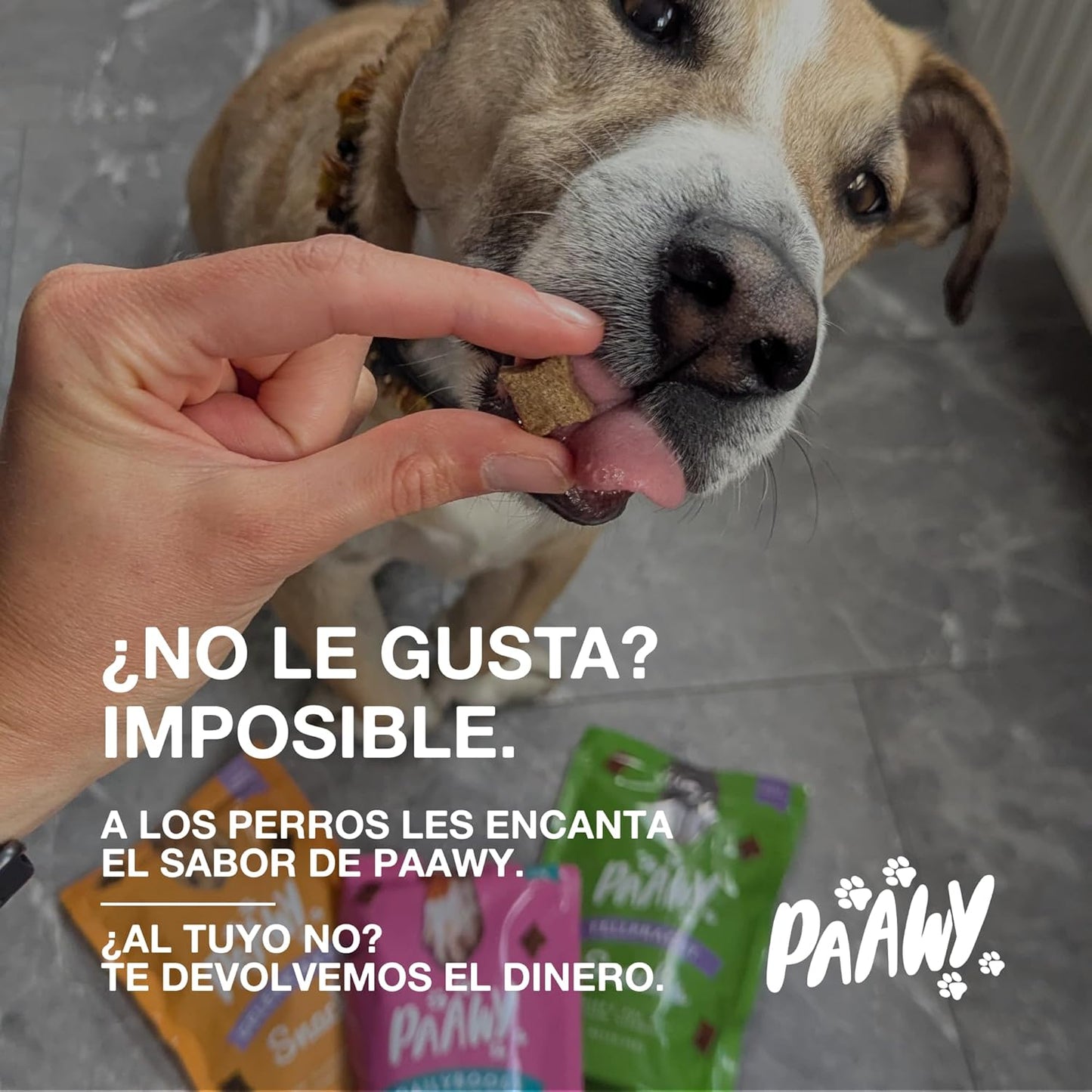 Condroprotector Perros De Paawy | MEJOR EN LA PRUEBA | 180 Snacks Con Glucosamina, Condroitina, MSM Y Colágeno – Antiinflamatorio Natural Para Articulaciones Y Artrosis – Para Razas Pequeñas Y Grandes