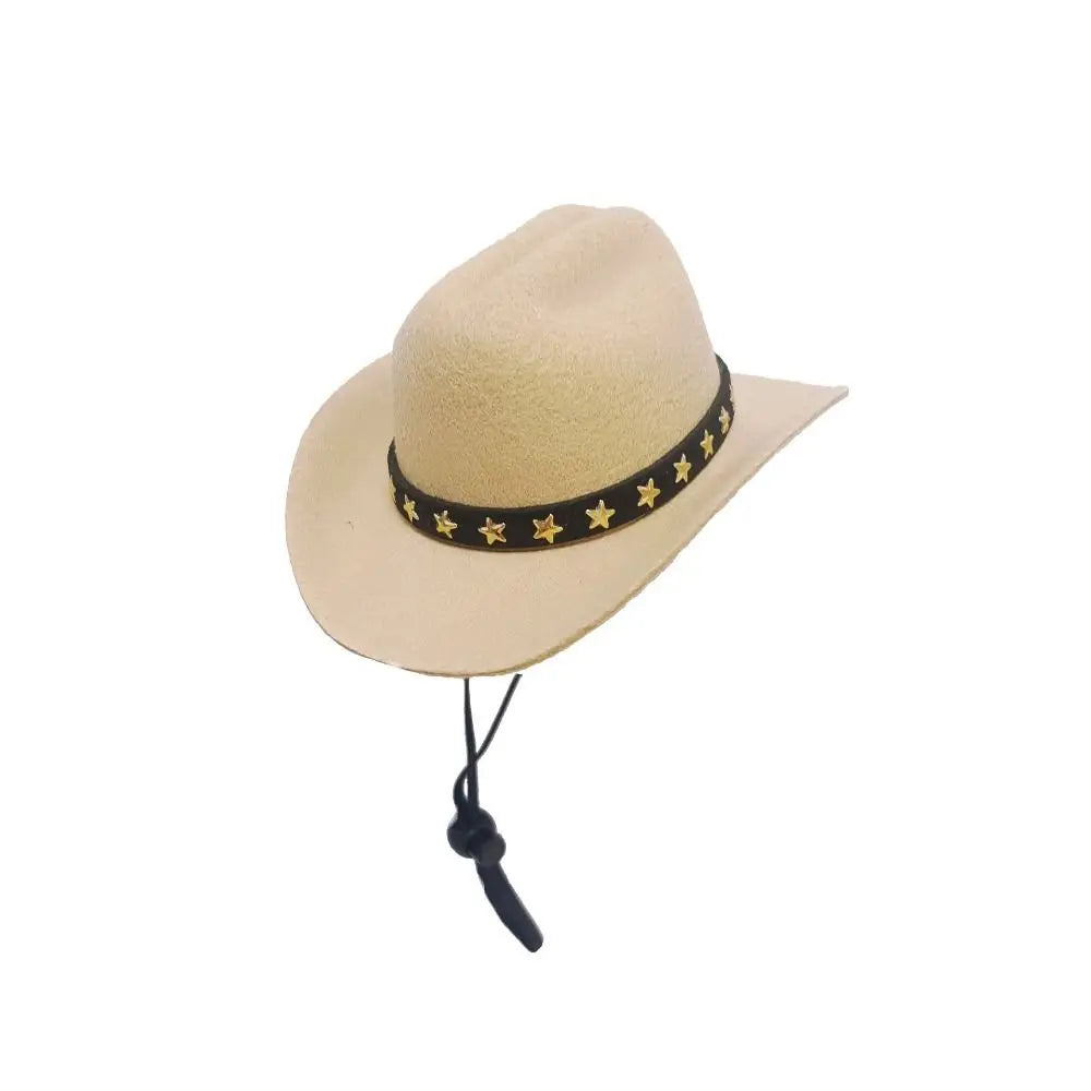 Sombrero disfraz para perros 