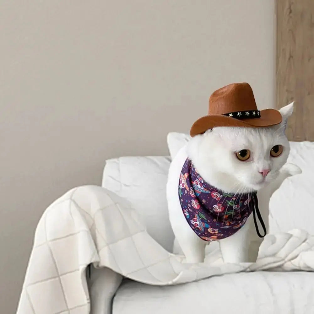 Sombrero disfraz para perros 
