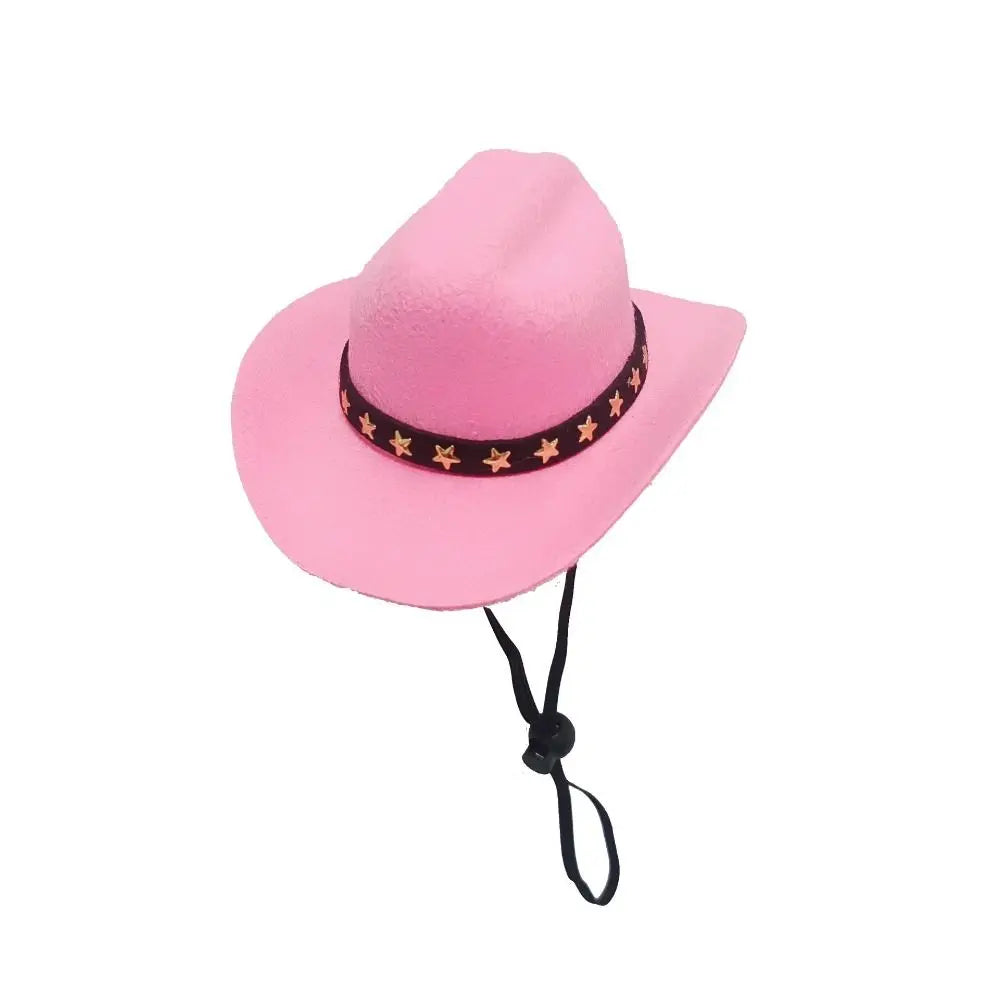 Sombrero disfraz para perros 
