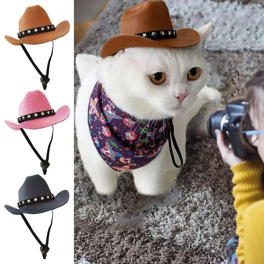Sombrero disfraz para perros 