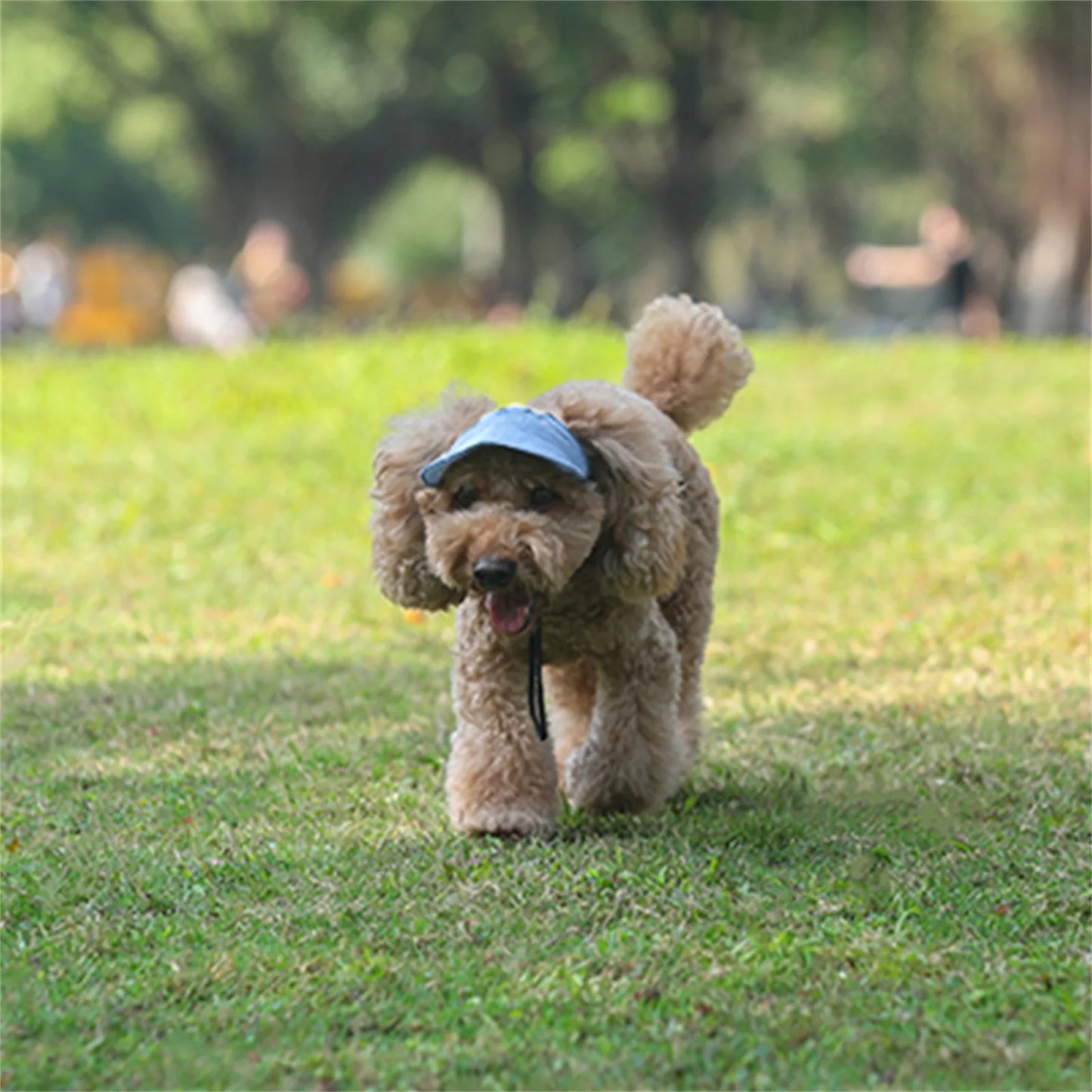 Gorra ajustable para perros
