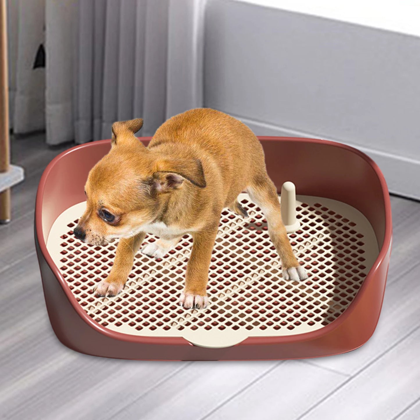 Inodoro para mascotas
