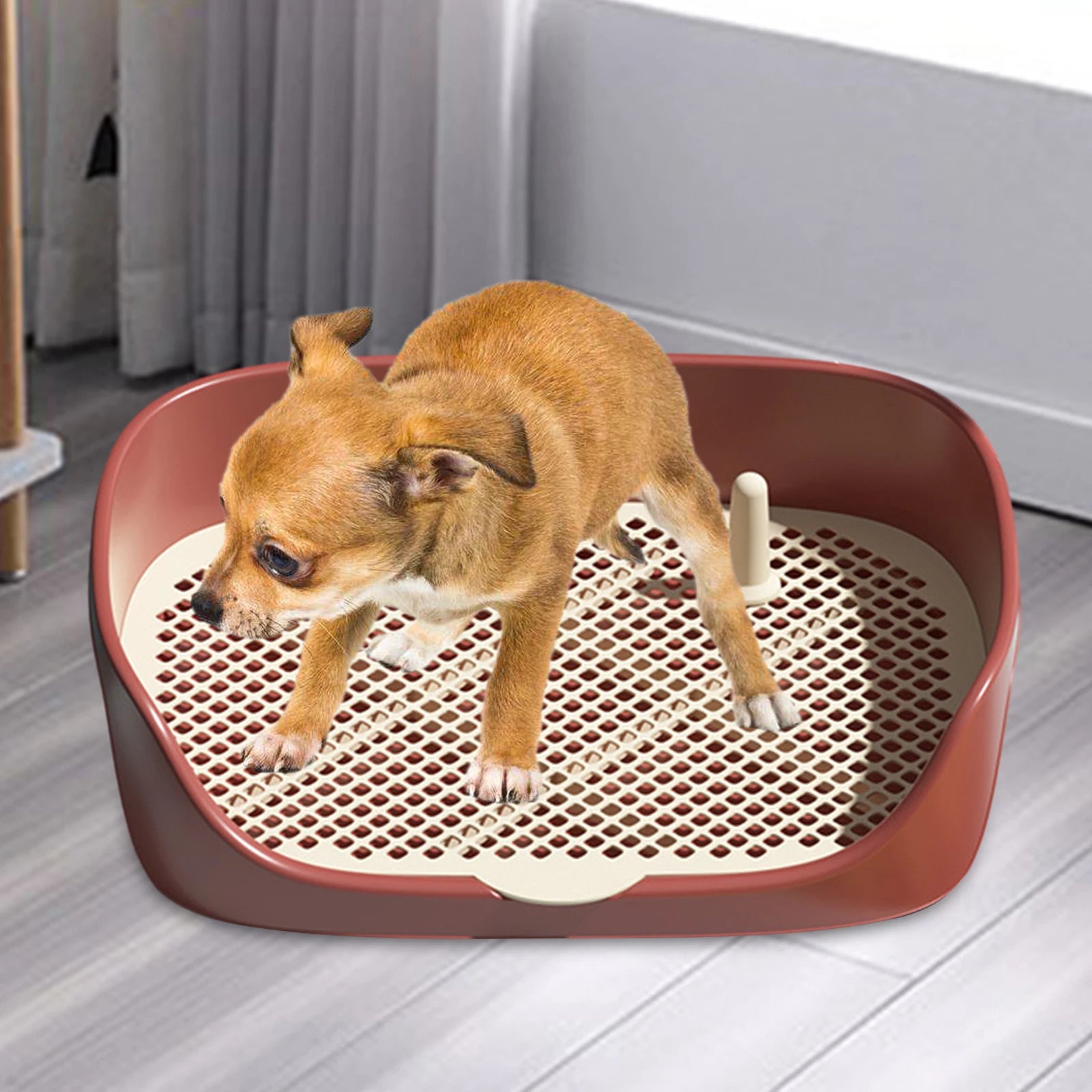 Inodoro para mascotas